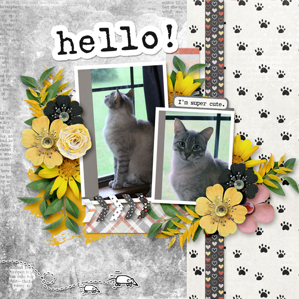 Hello