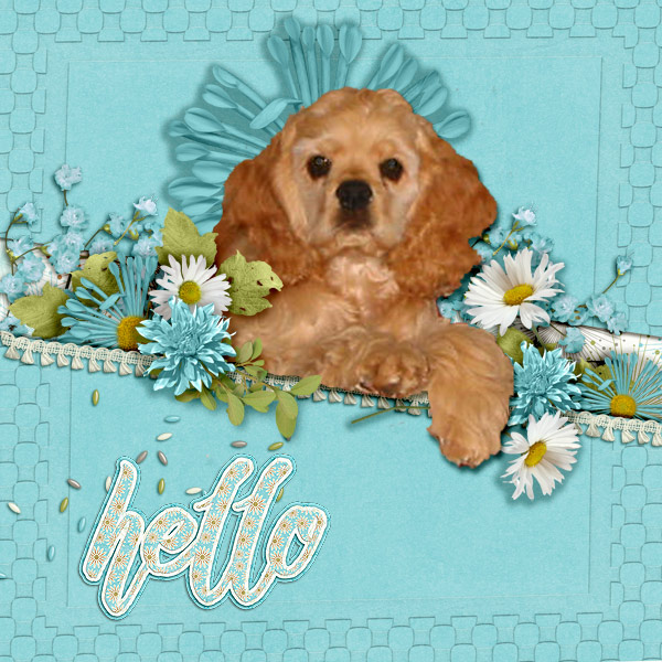 Hello10