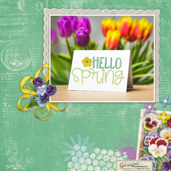 Hello_spring19