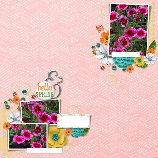hello_spring25