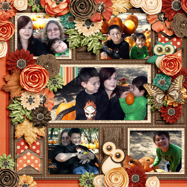 Helotes Pumpkin Patch