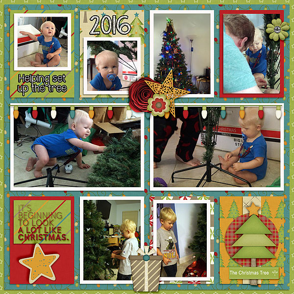 helping-set-up-the-tree