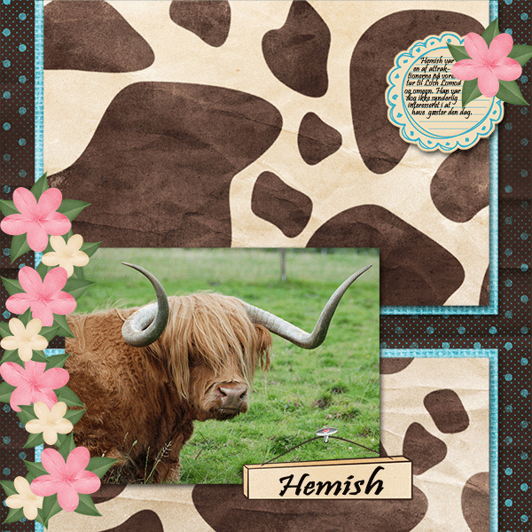 Hemish