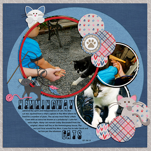 Hemmingway Cats