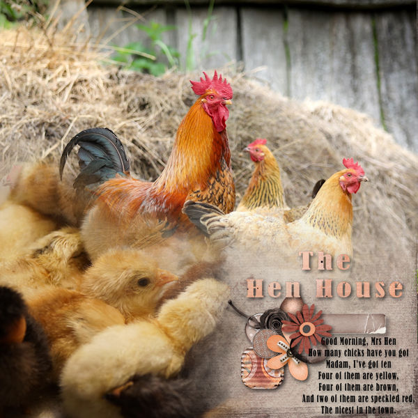 Hen House