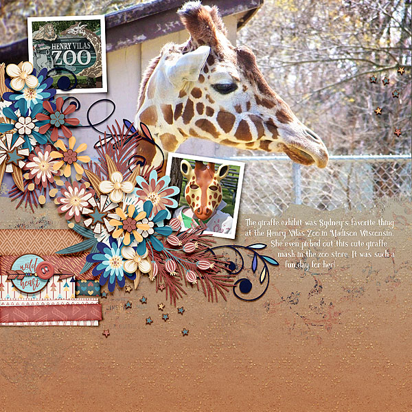 Henry Vilas Zoo