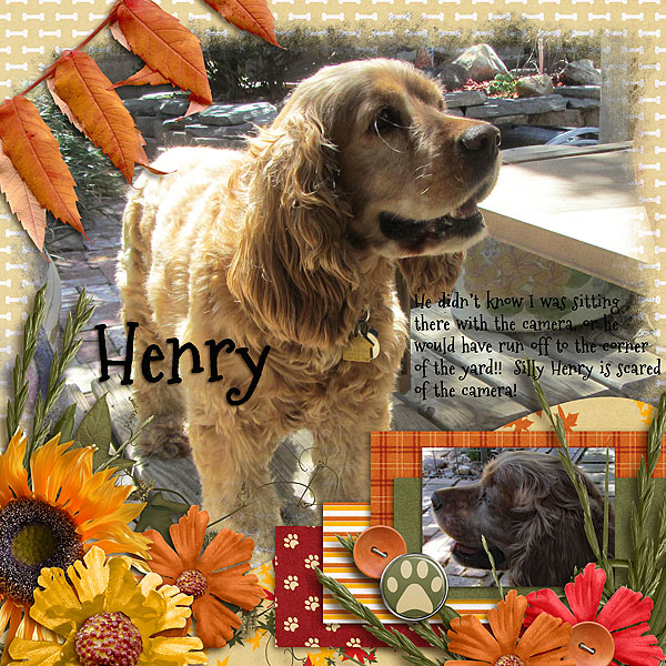 Henry
