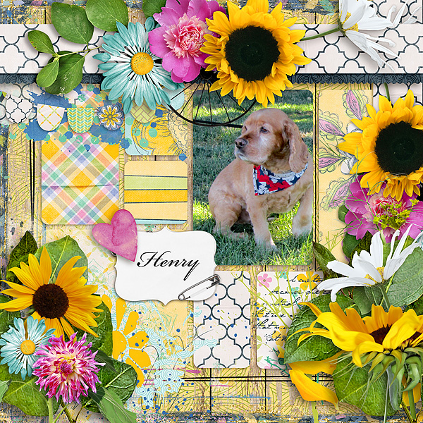 Henry