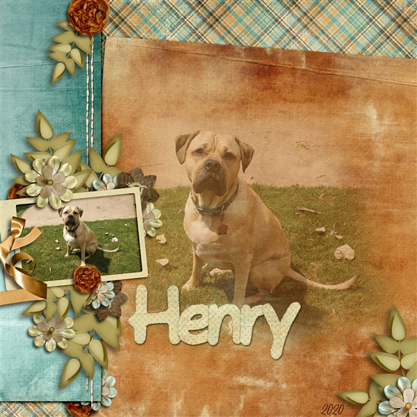 Henry