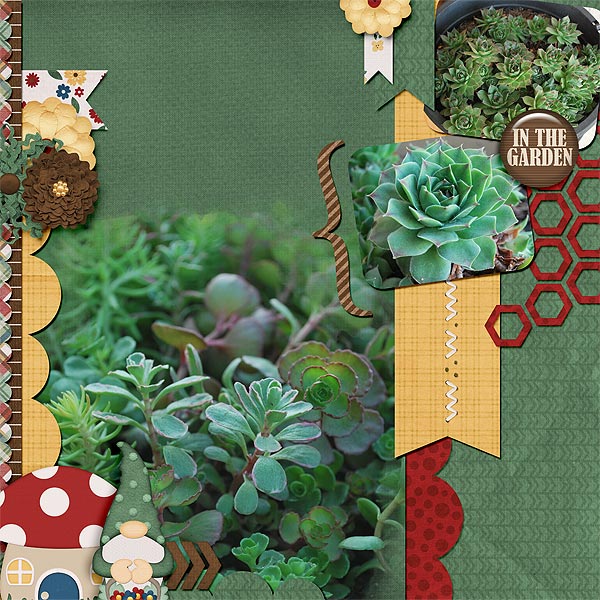 Hens and Chicks