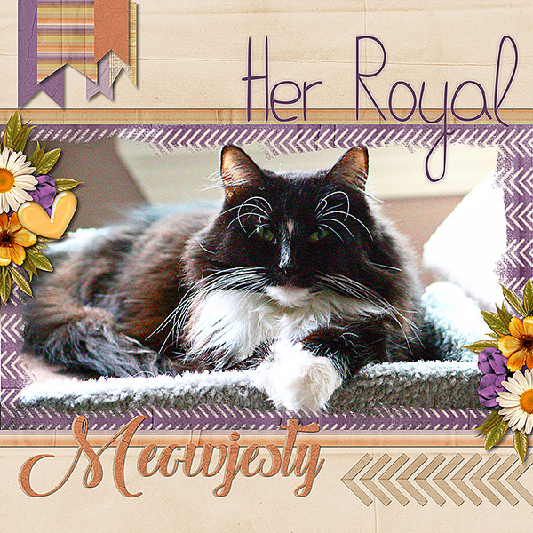 Her Royal Meowjesty