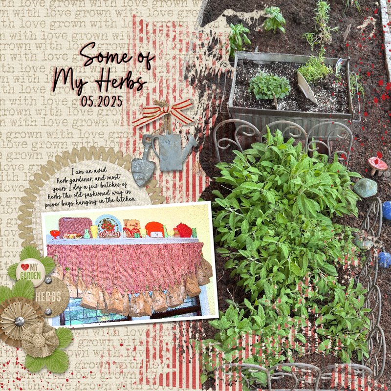 Herb Garden.jpg