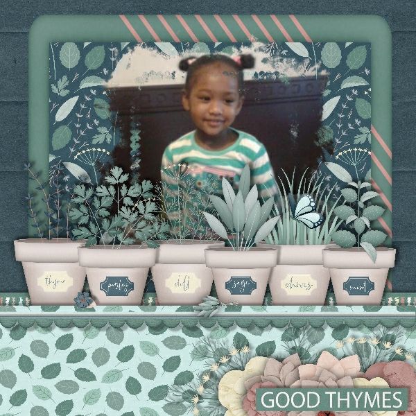 Herb Garden
