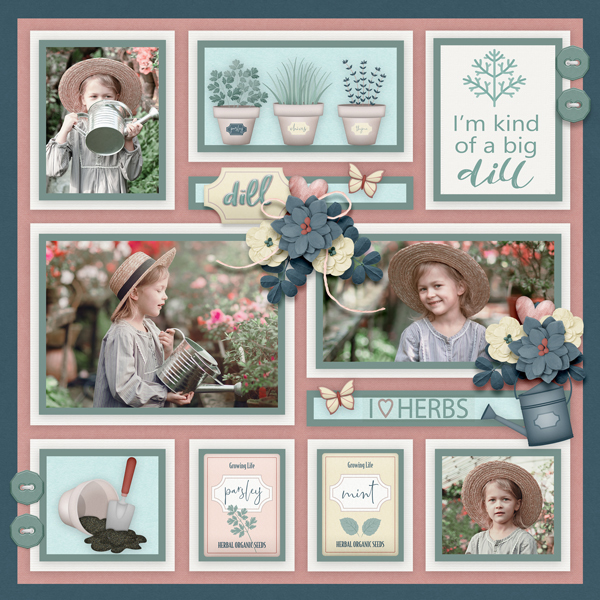 Herb Garden