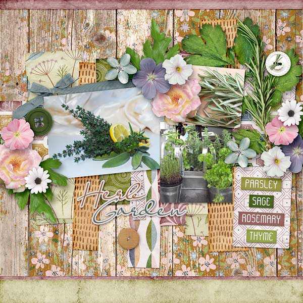 Herb Garden