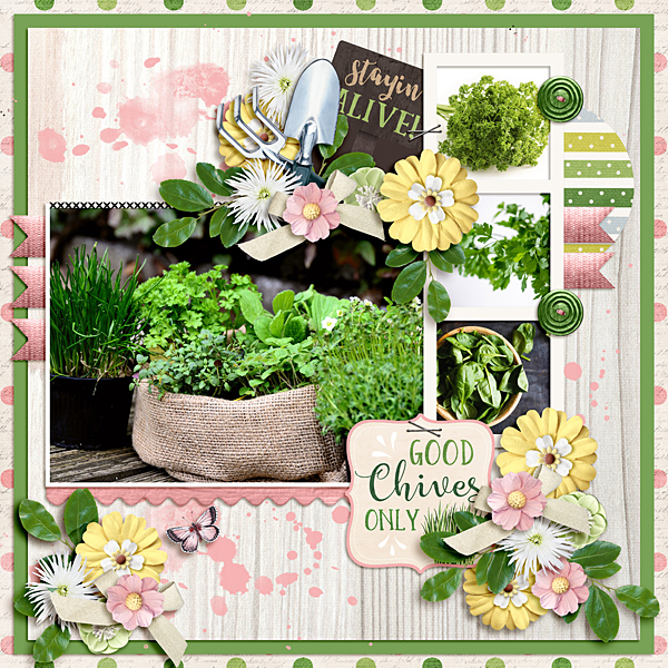 Herb Garden