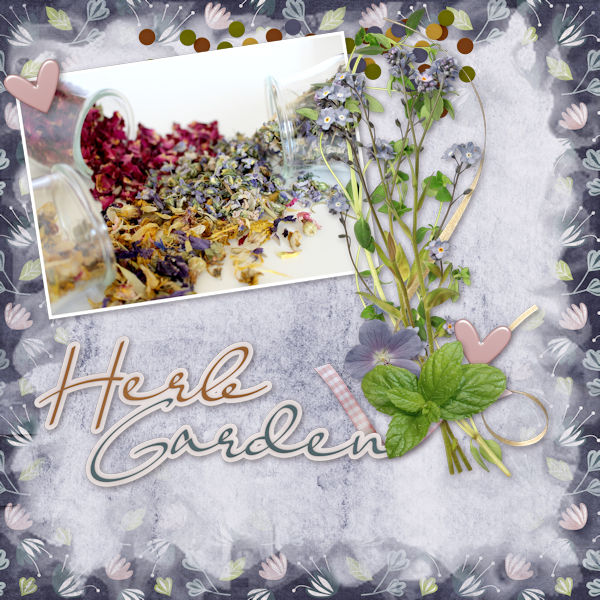 Herb Garden