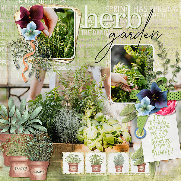 Herb Garden
