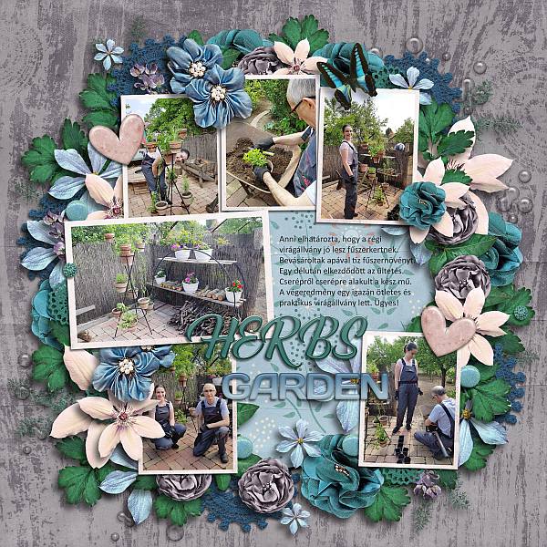 Herbs garden