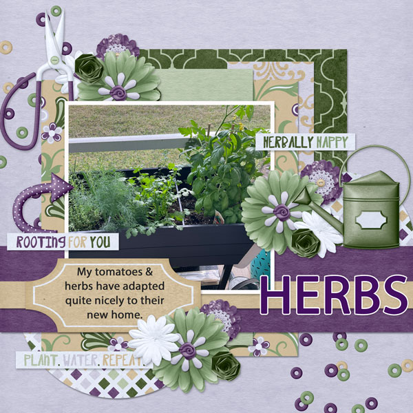 Herbs