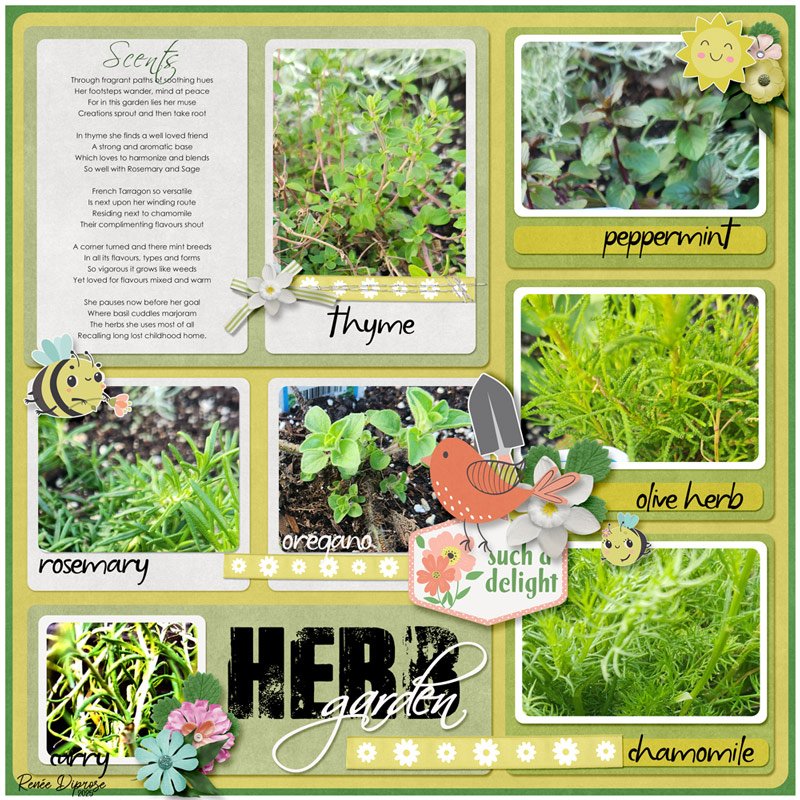 Herbs