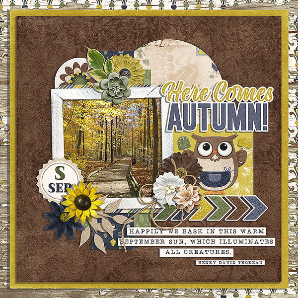 here comes autumn