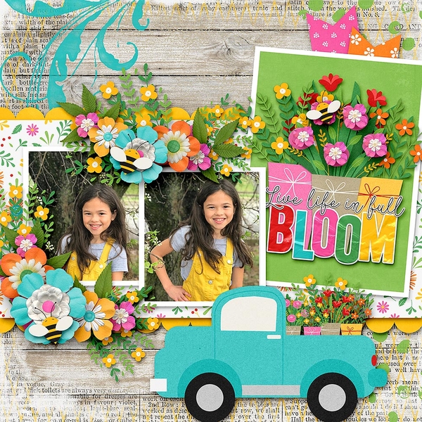 Here Comes Spring