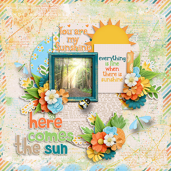 Here Comes The Sun
