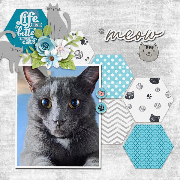 Here-Kitty-Kitty-01.jpg