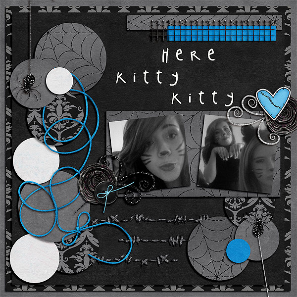 Here Kitty Kitty