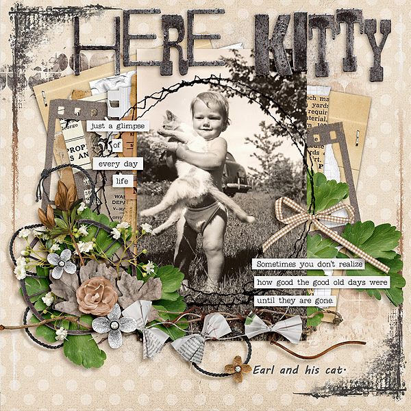 Here Kitty