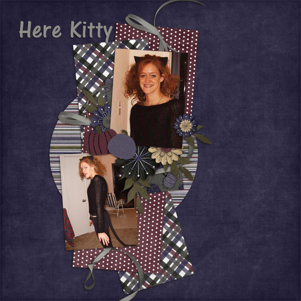 Here Kitty