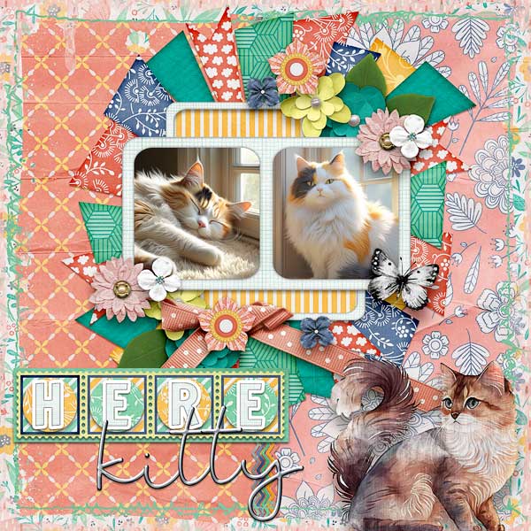 Here Kitty