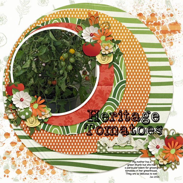 Heritage Tomatoes