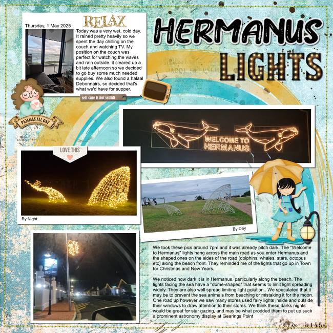 Hermanus Lights