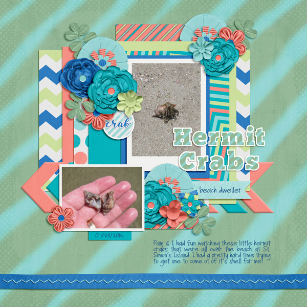 Hermit Crabs