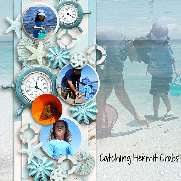 Hermit Crabs