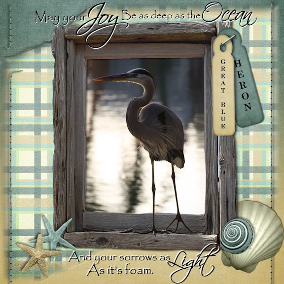 Heron