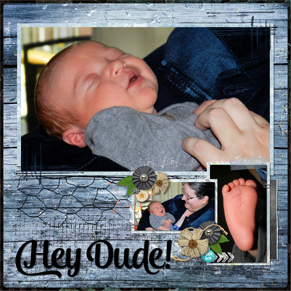 Hey Dude