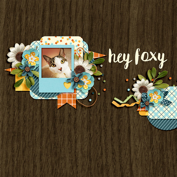 hey foxy
