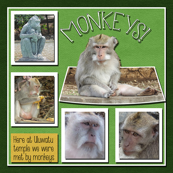 Hey Hey Look At The Monkees