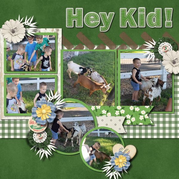 Hey Kid!