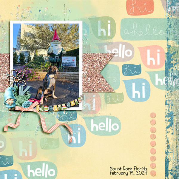 Hi Hello