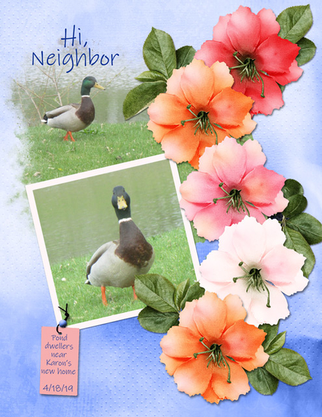 Hi, Neighbor
