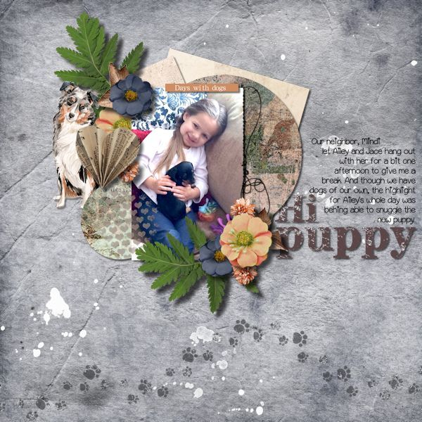 Hi Puppy