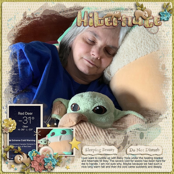 Hibernate Sleeping Beauty Do Not Disturb