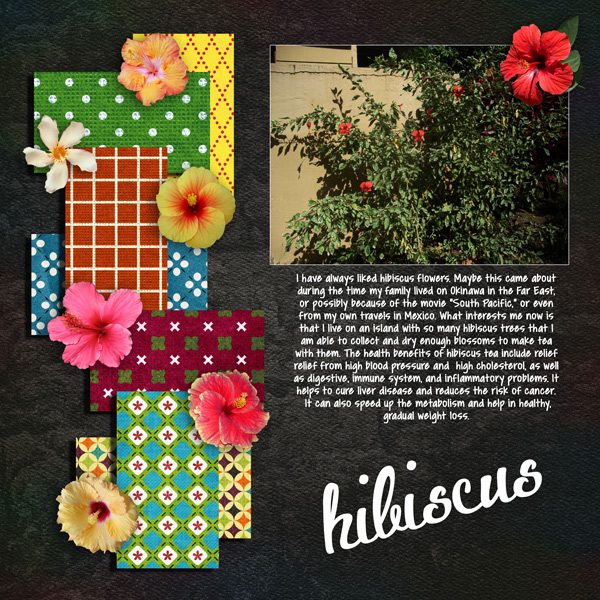 Hibiscus flowers