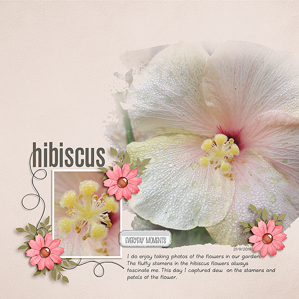 Hibiscus - Template 1 challenge