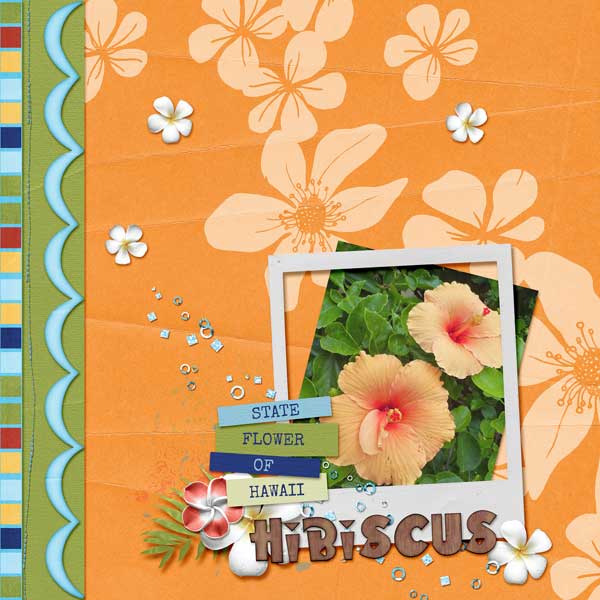 Hibiscus