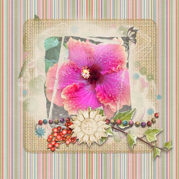 Hibiscus